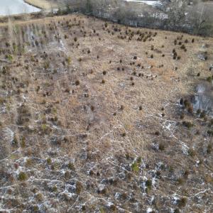 DJI_0671