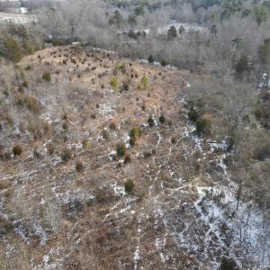 DJI_0673