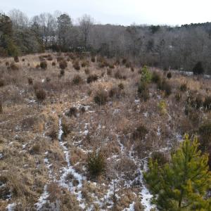 DJI_0676