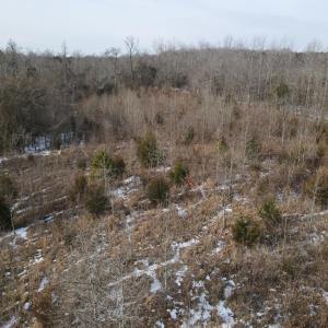 DJI_0677