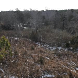 DJI_0678