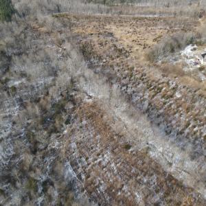 DJI_0663