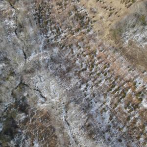 DJI_0664
