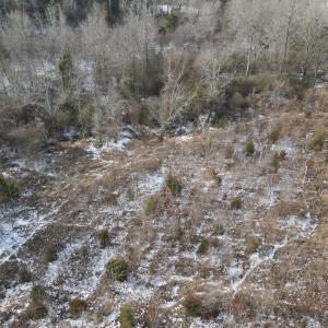 DJI_0674