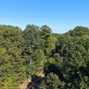 14th Park Ave, Randleman, NC 27317