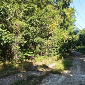 14th Park Ave, Randleman, NC 27317