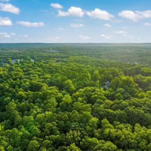 18-web-or-mls-untitled-15