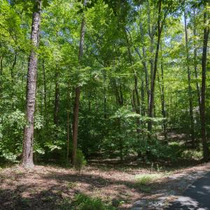 4519_Chicopee_MLS-12