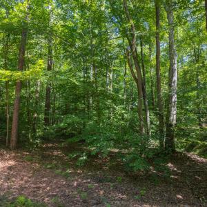 4519_Chicopee_MLS-8