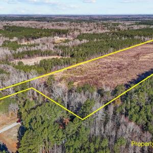 21-web-or-mls-DJI_20250311095247_0779_D_