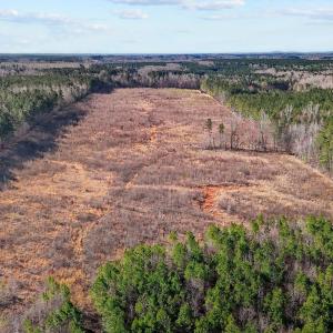 13-web-or-mls-DJI_20250311094920_0771_D