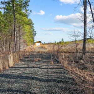 4-web-or-mls-DJI_20250311094615_0759_D