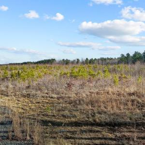 5-web-or-mls-DJI_20250311094626_0760_D