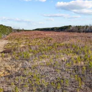 6-web-or-mls-DJI_20250311094640_0761_D