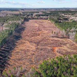 14-web-or-mls-DJI_20250311094945_0772_D