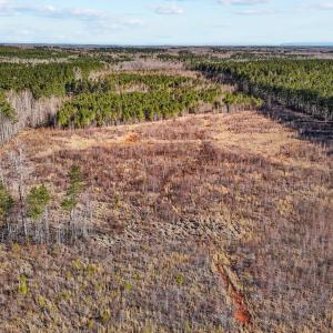 10-web-or-mls-DJI_20250311094832_0768_D