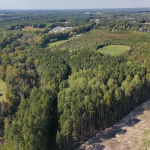 Photo #27 of 1012 Halifax, Rocky Mount, NC 20.0 acres