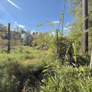 Photo #17 of 1012 Halifax, Rocky Mount, NC 20.0 acres