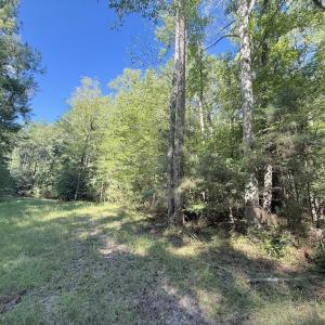 Photo #33 of 1012 Halifax, Rocky Mount, NC 20.0 acres