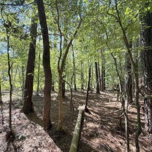 Photo #22 of 1012 Halifax, Rocky Mount, NC 20.0 acres