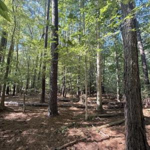 Photo #8 of 1012 Halifax, Rocky Mount, NC 20.0 acres