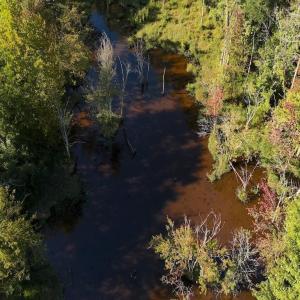 Photo #15 of 1012 Halifax, Rocky Mount, NC 20.0 acres