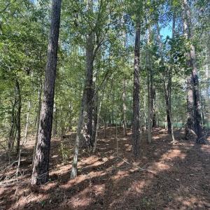 Photo #26 of 1012 Halifax, Rocky Mount, NC 20.0 acres