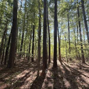 Photo #7 of 1012 Halifax, Rocky Mount, NC 20.0 acres