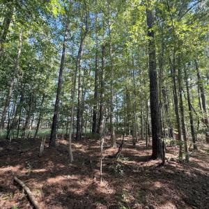 Photo #24 of 1012 Halifax, Rocky Mount, NC 20.0 acres