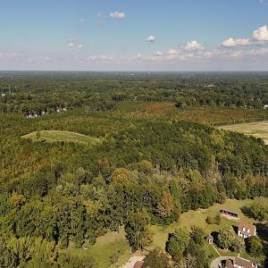 Photo #29 of 1012 Halifax, Rocky Mount, NC 20.0 acres