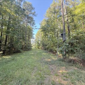 Photo #30 of 1012 Halifax, Rocky Mount, NC 20.0 acres