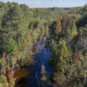 Photo #14 of 1012 Halifax, Rocky Mount, NC 20.0 acres