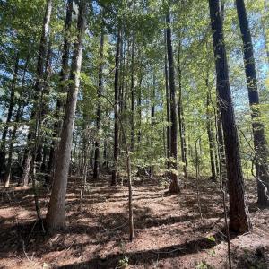 Photo #4 of 1012 Halifax, Rocky Mount, NC 20.0 acres