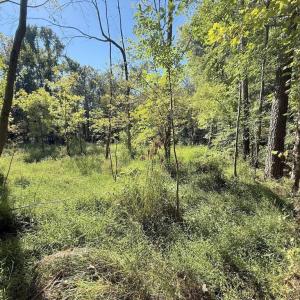 Photo #16 of 1012 Halifax, Rocky Mount, NC 20.0 acres
