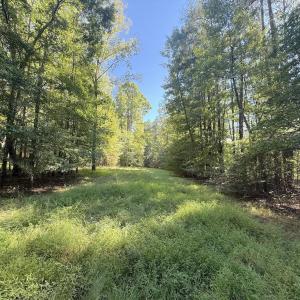 Photo #31 of 1012 Halifax, Rocky Mount, NC 20.0 acres