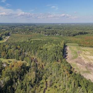 Photo #6 of 1012 Halifax, Rocky Mount, NC 20.0 acres