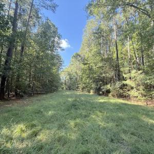 Photo #32 of 1012 Halifax, Rocky Mount, NC 20.0 acres