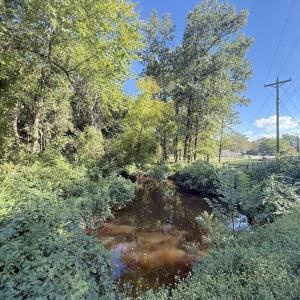 Photo #19 of 1012 Halifax, Rocky Mount, NC 20.0 acres