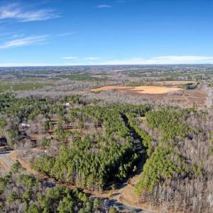 01-DJI_20260211150113