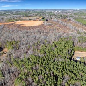 11-DJI_20260211150933