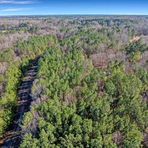 18-DJI_20260211151137