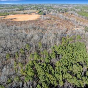 12-DJI_20260211151008