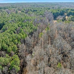 17-DJI_20260211151114