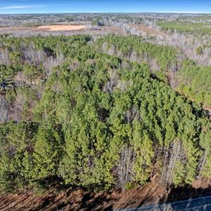 21-DJI_20260211151258