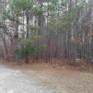 2908 Satori 2