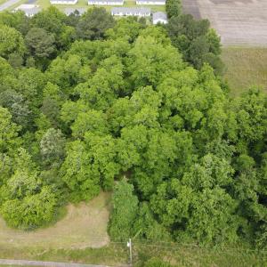 DJI_0368