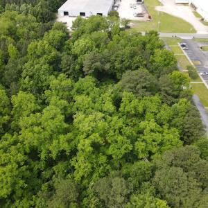DJI_0377