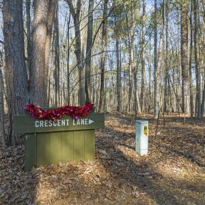 2-web-or-mls-DJI_0087