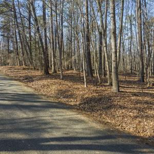 12-web-or-mls-DJI_0097