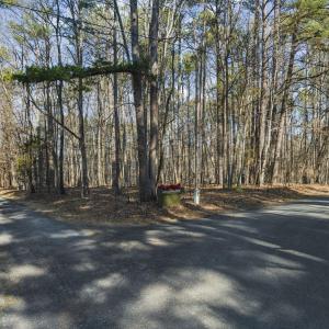 10-web-or-mls-DJI_0086